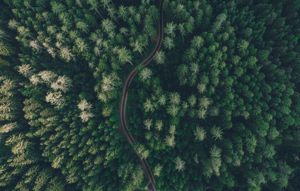 avustaja-rauma-ja-pori