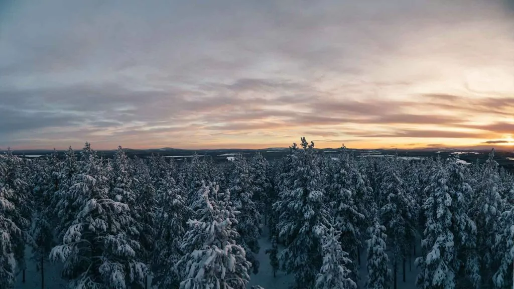 henkilokohtainen-avustaja-rovaniemen-seutu