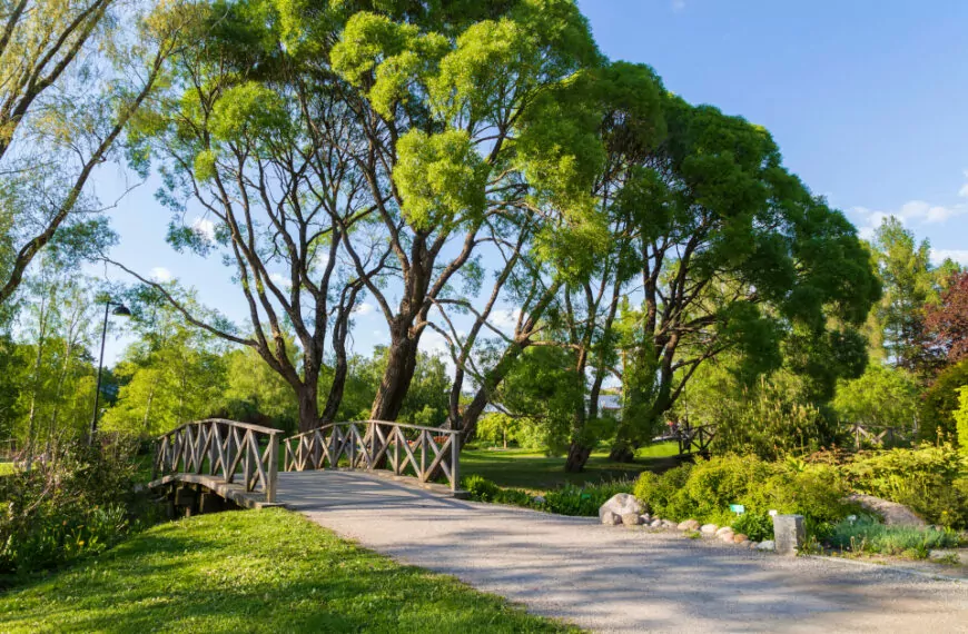 Avustaja osana arkea – liikuntamahdollisuudet Pirkanmaalla