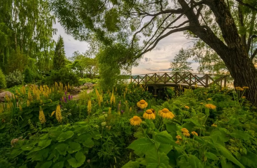 Henkilökohtainen avustaja mukana Pirkanmaan luontoretkellä