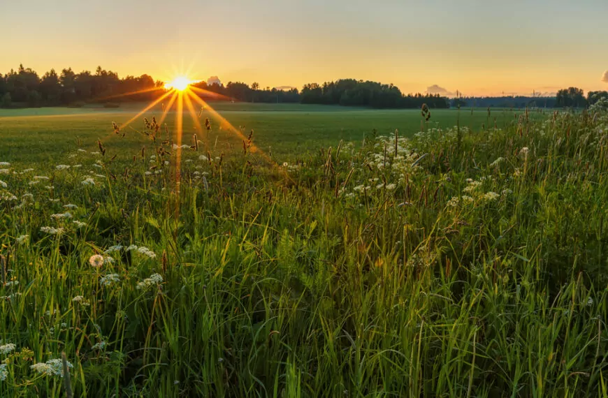 Apuvälinelainaamot Vantaan ja Keravan hyvinvointialueella