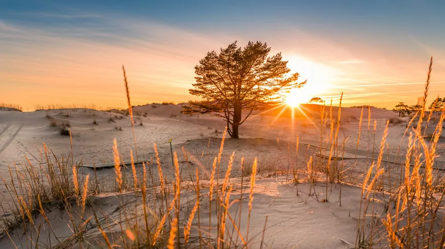 Henkilökohtainen avustaja arjen tukena: Harrastukset