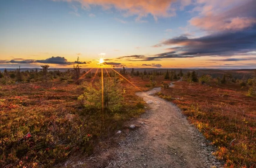 Henkilökohtaisen avun palveluseteli Lapin hyvinvointialueella
