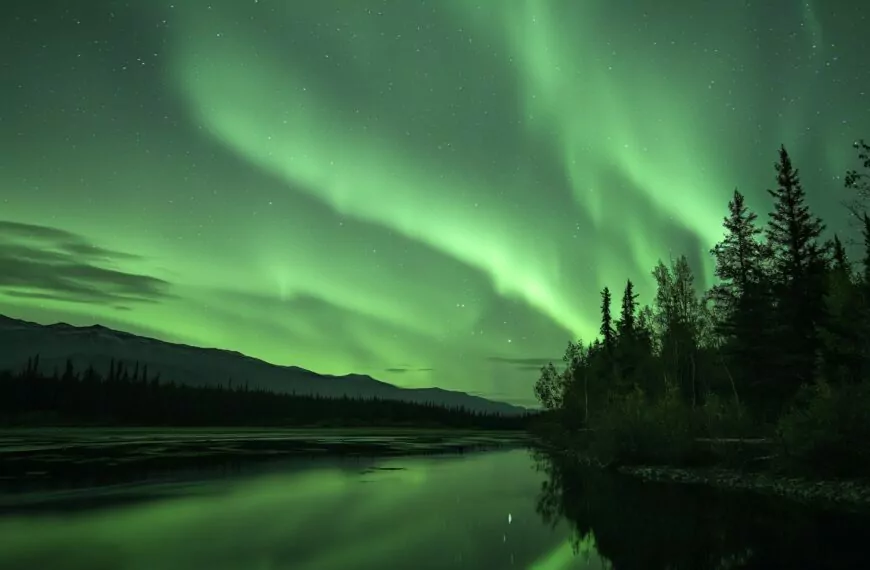 Henkilökohtainen avustaja mukana luontoretkillä Lapissa