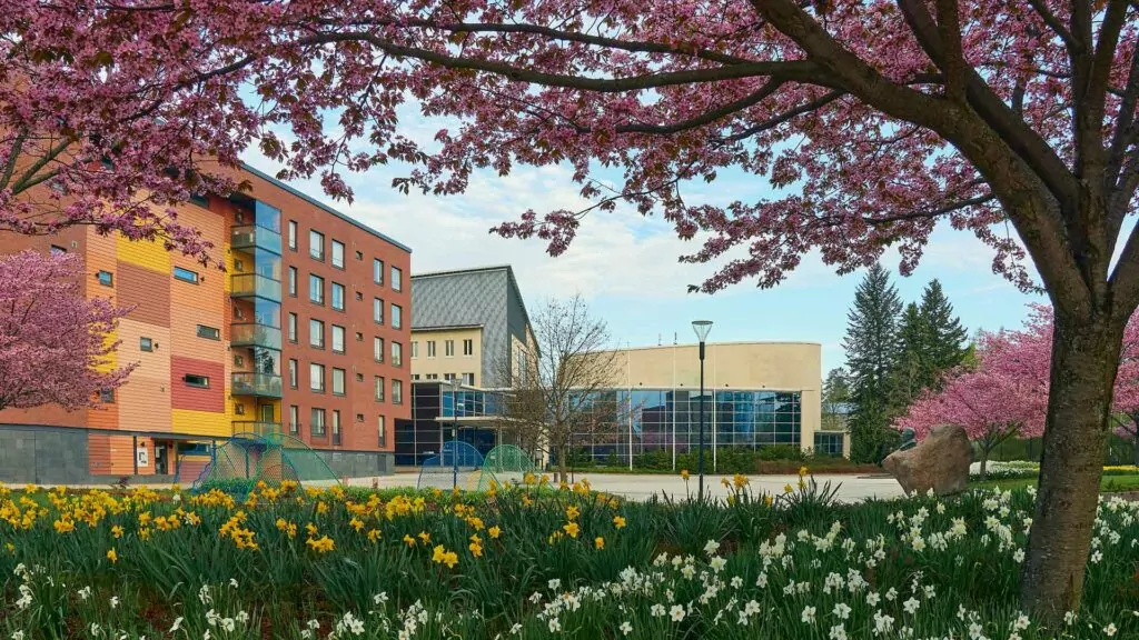 Kerava - Henkilökohtainen avustaja